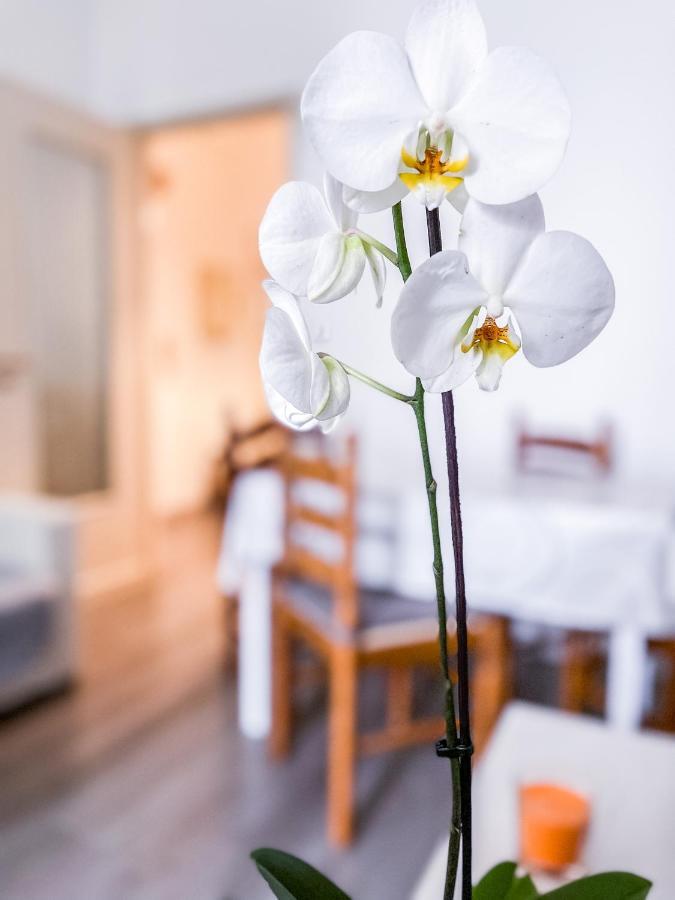 Myhouse Inn Marche - Affitti Brevi Italia Torino Dış mekan fotoğraf